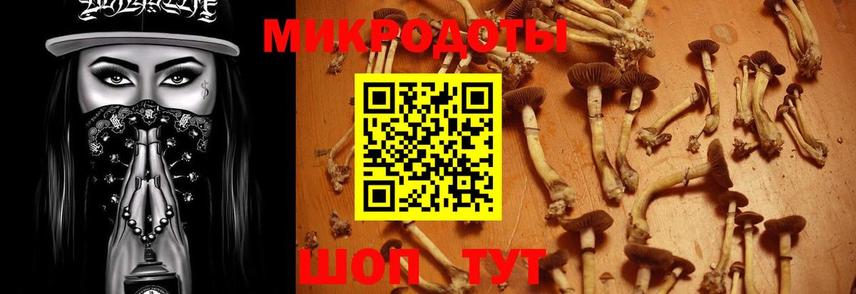 Псилоцибиновые грибы Cubensis  Вход с VPN  Людиново 